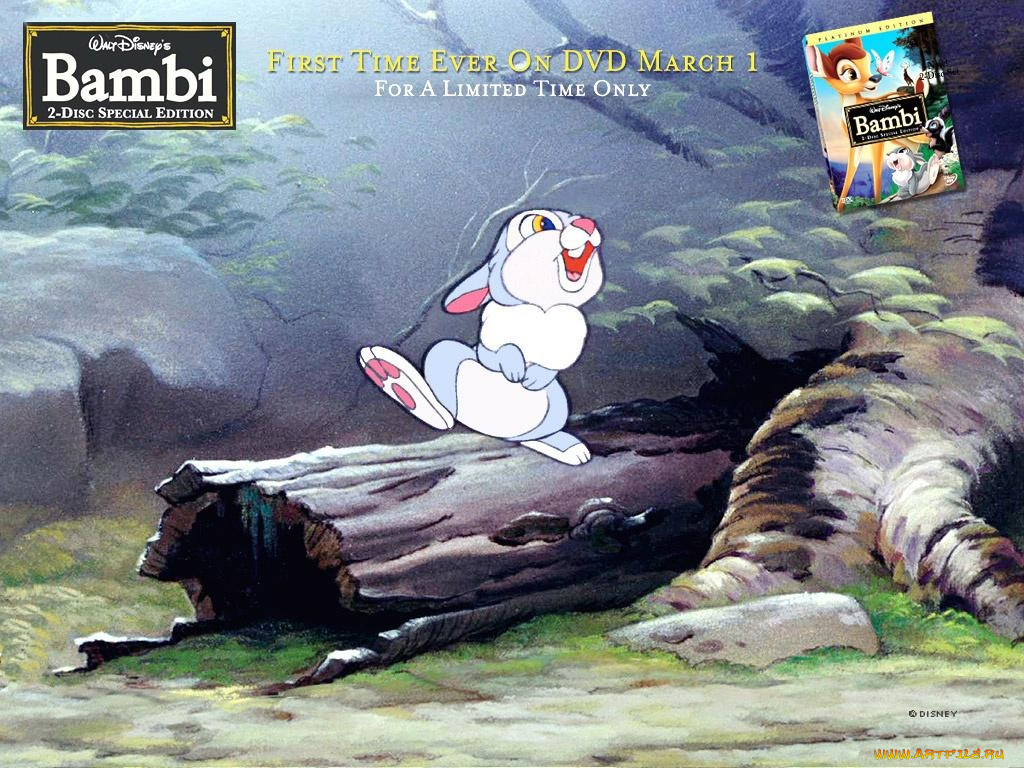 , bambi